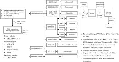 Study protocol of an open-label prospective phase II umbrella study of precise neoadjuvant therapy for patients with stage II-IIIB resectable non-small cell lung cancer (PURPOSE)